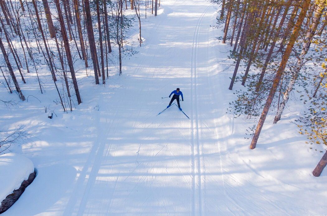 Langläufer in blauer Ski-Kacke fährt auf Langlaufstrecke durch Wald